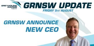 Robert Macaulay became GRNSW’s new CEO