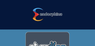 Premium slot provider Endorphina partners with Staryes