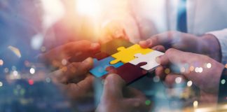 Spinomenal and NetBet Collaborate to Expand Content Offering