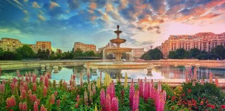 Romanian Authorities Revoke Betting Frenzy’s Gambling License