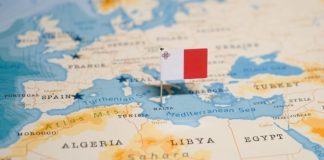 REEVO and BetRebels: New Partnership for International Growth