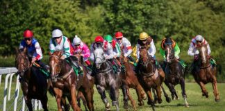 Betbazar Signs Agreement with SIS: New Features and Content