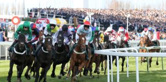 Tabcorp, ARC, RMG and 1/ST CONTENT create a single distribution pool for racing content
