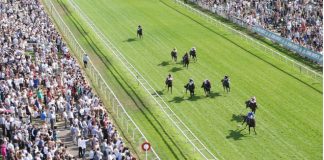 Pragmatic Play Has Introduced an Innovative Solution for Horse Racing Betting