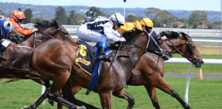 Hong Kong Jockey Club Reports 3% Turnover Decline Amid Global Uncertainty