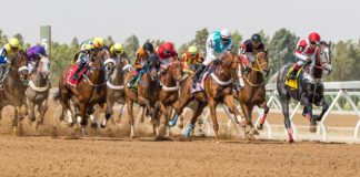 TPD Signs Deal With Bahrain Turf Club and Expands Middle East Presence
