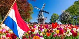 Dutch Parliament Calls on Curacao to Tighten Gambling Laws