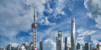 China and ASEAN Join Forces to Combat Gambling and Fraud