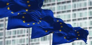 EGBA Supports the EU Initiative to Implement a Unified Harm Markers Framework