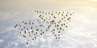Evolution Reports Success in 2024, Looks Optimistically to 2025