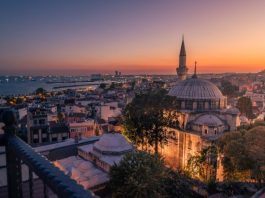 Turkey’s Horse Racing Reform Faces a Conflict of Interest