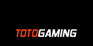 Kamo Mayilyan Leads Research and Development at TotoGaming