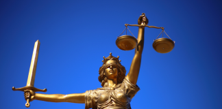Supreme Court of Georgia Dismisses SPRIBE’s Appeal, Solidifying Aviator LLC’s IP Victory