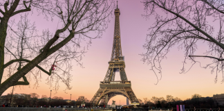 France Equates Match-Fixing With Organised Crime