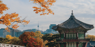 Calls for Gambling Regulation Reform in South Korea
