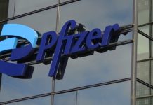 Flutter Hires Pfizer Executive Sally Susman