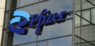 Flutter Hires Pfizer Executive Sally Susman