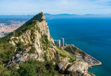 WagerWire Strengthens Its Position And Aims To Become Gibraltar’s Second Predictions Platform