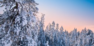 Experts Warn: Strict Affiliate Rules Could Fuel Finland’s Black Market