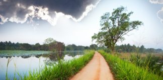Sri Lanka Raises Casino Entrance Fees and Gross Collection Taxes