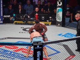 PFL Expands Betting Reach Through Sportradar Partnership