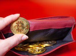 ReferOn Introduces a New Payment Solution for Working with Cryptocurrencies