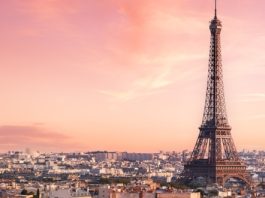 Polymarket to Fight French Block Amid Prediction Market Regulation Dispute