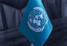 UN Calls for Coordinated Action Against the Illegal Gambling Market in Southeast Asia