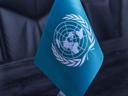 UN Calls for Coordinated Action Against the Illegal Gambling Market in Southeast Asia