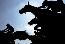 1xBet Becomes Partner of Historic Irish Racecourse Gowran Park