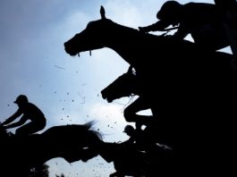 1xBet Becomes Partner of Historic Irish Racecourse Gowran Park