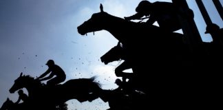 1xBet Becomes Partner of Historic Irish Racecourse Gowran Park