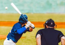 FeedConstruct to Boost the Global Profile of Baseball