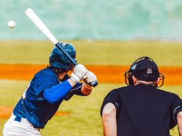 FeedConstruct to Boost the Global Profile of Baseball