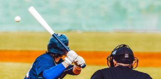 FeedConstruct to Boost the Global Profile of Baseball
