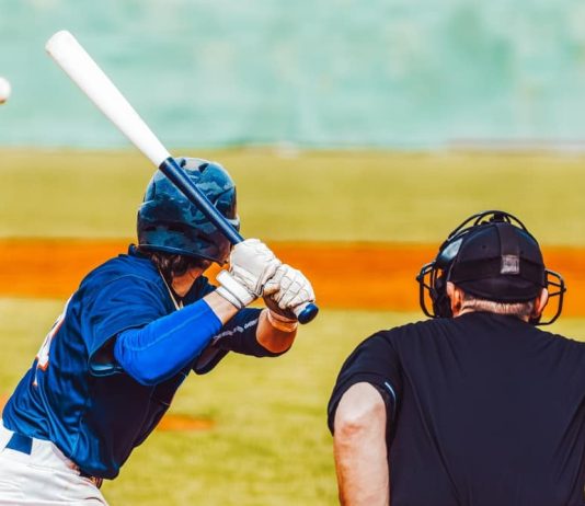 FeedConstruct to Boost the Global Profile of Baseball