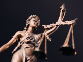 SoftConstruct’s Karine Hakobyan Joins the International Masters of Gaming Law