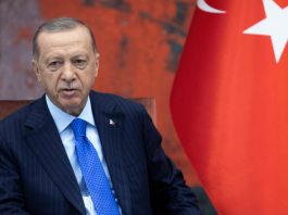 Turkey’s Vice President: Erdoğan Government Enters New Phase in Fight Against Illegal Gambling