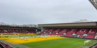 Betano CEO Considers Buying a Stake in Bristol City