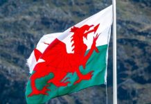 FeedConstruct Strengthens Its Position in Global Football Through Partnership with Wales