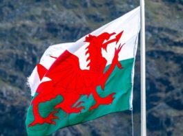 FeedConstruct Strengthens Its Position in Global Football Through Partnership with Wales