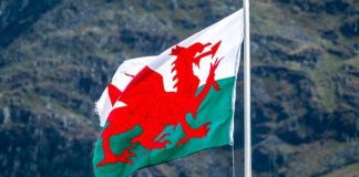 FeedConstruct Strengthens Its Position in Global Football Through Partnership with Wales