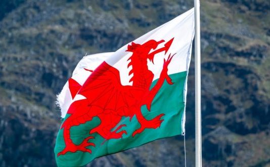 FeedConstruct Strengthens Its Position in Global Football Through Partnership with Wales
