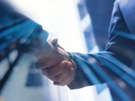 Alea Secures Exclusive Sportsbook Deal with FIRST.bet