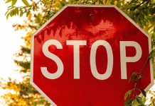 VNLOK: Total Gambling Advertising Ban Will Strengthen the Dutch Black Market