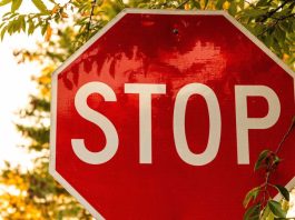 VNLOK: Total Gambling Advertising Ban Will Strengthen the Dutch Black Market